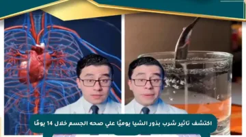 اكتشف تأثير شرب بذور الشيا يوميًا على صحة الجسم خلال 14 يومًا
